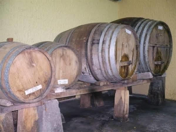 艾勒维拉酒店 San Martin del Mar 外观 照片